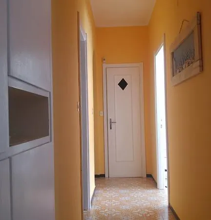Mimosa ראפאלו