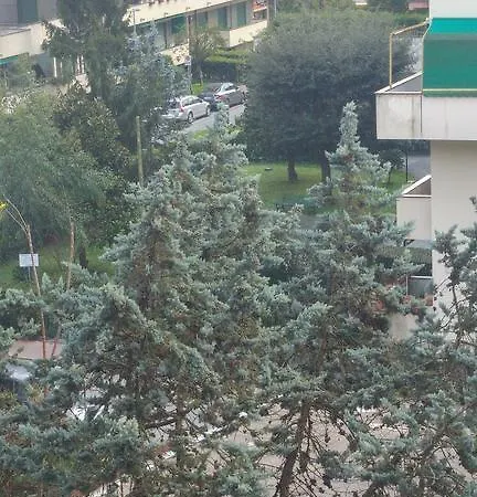 Mimosa * ראפאלו